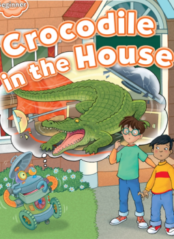Crocodile In The House